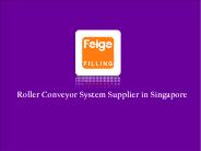 Roller Conveyor System Supplier (1)