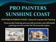 PAINTERS SUNSHINE COAST | House & Commercial Painting PowerPoint PPT Presentation