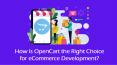 How Is OpenCart the Right Choice for eCommerce Development? PowerPoint PPT Presentation