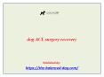 dog ACL surgery recovery PowerPoint PPT Presentation