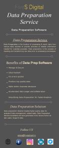 Data Preparation Service - FiveSdigital PowerPoint PPT Presentation