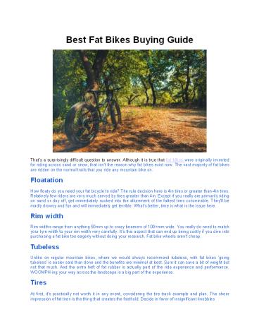 Best Fat Bikes Buying Guide