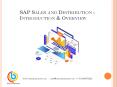 Learn SAP SD Online and Starting a Career as a SAP SD Consultant PowerPoint PPT Presentation