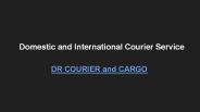 Domestic and International Courier Service (1)