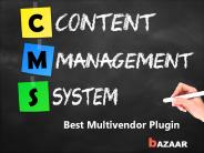 Best Multivendor Platform-Bazaar