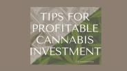 TIPS FOR PROFITABLE CANNABIS INVESTMENT