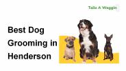 Best Dog Grooming In Henderson