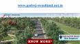Godrej Woodland Plots In Sarjapur Road godrej-woodland.net.in PowerPoint PPT Presentation