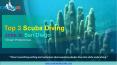Top 3 Scuba Diving Jobs in San Diego, CA - Ocean Enterprises PowerPoint PPT Presentation