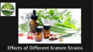 Effects of Different Kratom Strains
