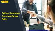 Python Developer Common Career Paths