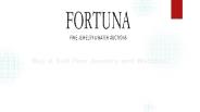 Fortuna Auctions