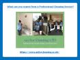 What can you expect from a Professional Cleaning Service PowerPoint PPT Presentation