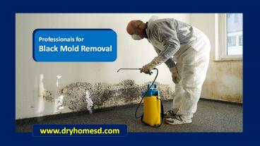Black Mold Removal and Clean up