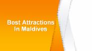 Best Attractions In Maldives
