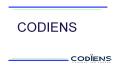 codiens2 (2) PowerPoint PPT Presentation