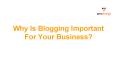 Why Is Blogging Important For Your Business? PowerPoint PPT Presentation