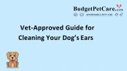 Cleaning Your Dog’s Ears
