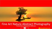 Fine Art Nature Abstract Photography
