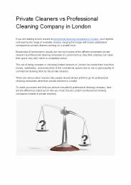 Private Cleaners Vs Professional Cleaning Company