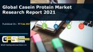 Casein Protein Market