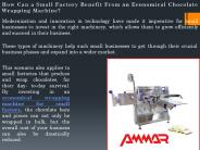 Economical Chocolate Wrapping Machine  - Ammar Machinery