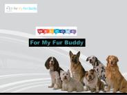 For my fur buddy