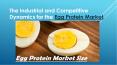 Global Egg Protein market size PowerPoint PPT Presentation