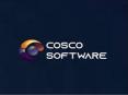 COSCOSOFTWARE OVERSTOCK CLONE - READYMADE CLONE (1) PowerPoint PPT Presentation