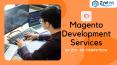 Top Magento Development Company in USA | Web Develpment Services | Zyelon PowerPoint PPT Presentation