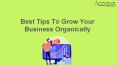 Best Tips To Grow Your Business Organically PowerPoint PPT Presentation