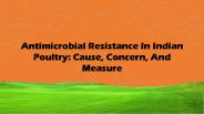 Antimicrobial Resistance In Indian Poultry: Cause, Concern, And Measure