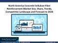 North America concrete cellulose fiber reinforcement market size, trends, Forecast By 2026 PowerPoint PPT Presentation