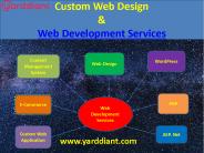 Custom Website Development Company