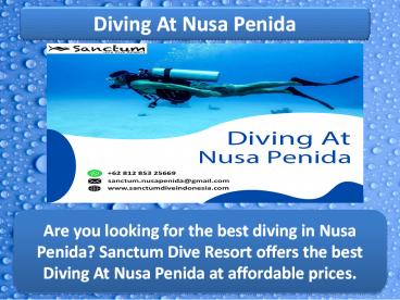 Diving At Nusa Penida