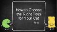How to Choose the Right Toys for Your Cat PowerPoint PPT Presentation