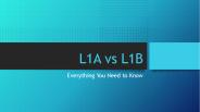 What are the L1A and L1B Visa