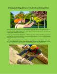 Tree Services nsw, Tree Lopping, Tree Pruning, Tree Removal Kellyville PowerPoint PPT Presentation