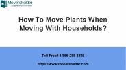 How To Move Plants When Moving With Households?