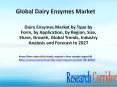 Dairy Enzymes Market by Type by Form, by Application, by Region, Size, Share, Growth, Global Trends, Industry Analysis and Forecast to 2027 PowerPoint PPT Presentation