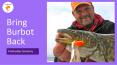 Find Out Why To Bring Burbot Back | Fishing Near Me PowerPoint PPT Presentation