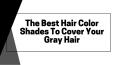 The Best Hair Color Shades To Cover Your Gray Hair PowerPoint PPT Presentation