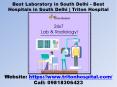 Best Laboratory in South Delhi - Best Hospitals in South Delhi | Triton Hospital PowerPoint PPT Presentation