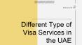 Different Type of Visa Services in the UAE PowerPoint PPT Presentation