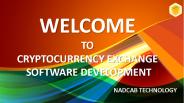 CRYPTOCURRENCY EXCHANGE DEVELOPMENT