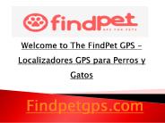 GPS para perros