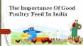 IMPORTANCE OF GOOD POULTRY FEED IN INDIA | EGIYOK NEWS PowerPoint PPT Presentation