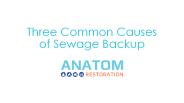 Three Common Causes of Sewage Backup, Anatom Restoration
