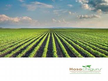 agricultural land near bangalore for sale (1)