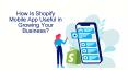How Is Shopify Mobile App Beneficial in Growing Your Business?